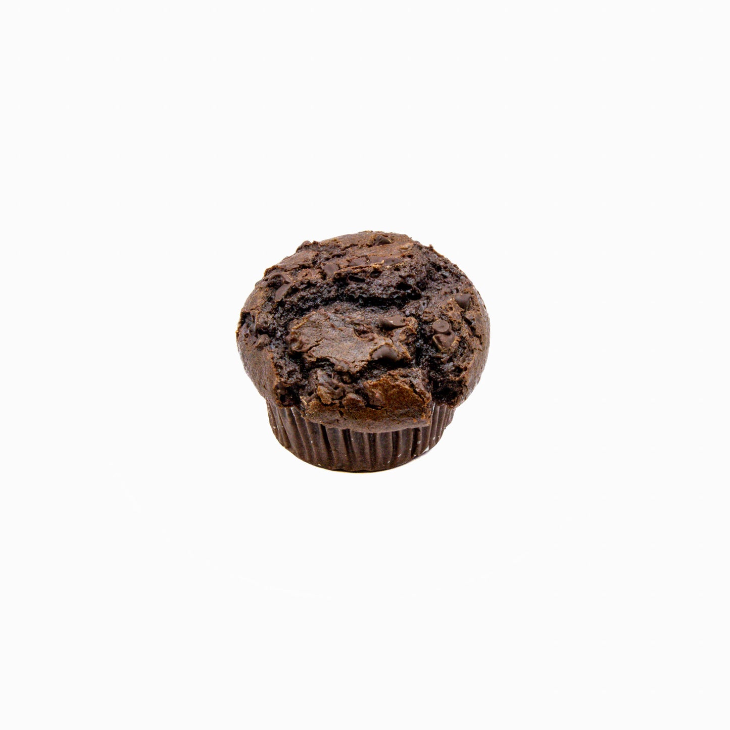 Chocolate Muffin